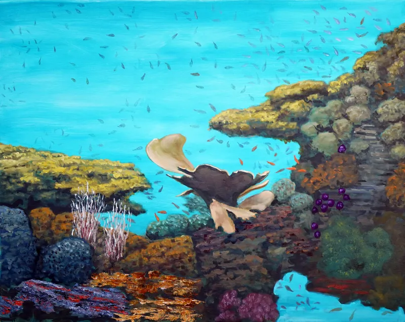 54 Coraux et mer turquoise